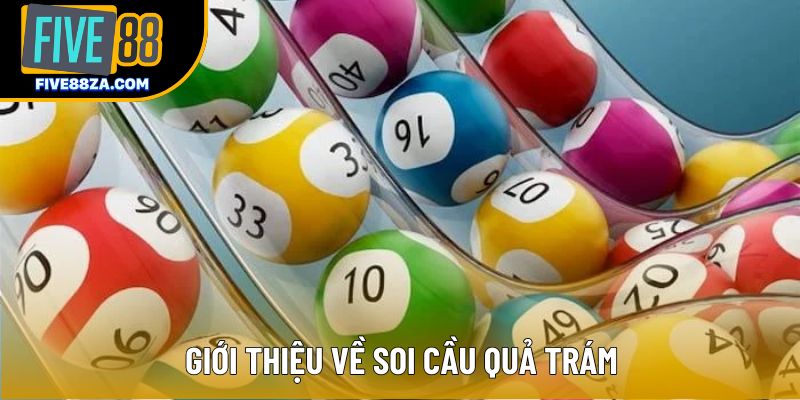 Giới thiệu về soi cầu quả trám