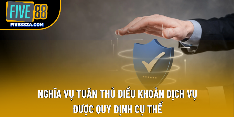 Nghĩa vụ tuân thủ điều khoản dịch vụ được quy định cụ thể