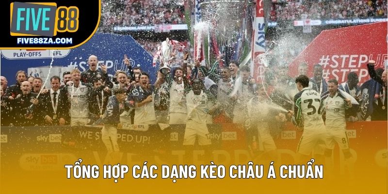 Tổng hợp các dạng kèo châu Á chuẩn Tổng hợp các dạng kèo châu Á chuẩn
